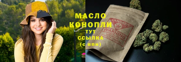 гидра Вяземский