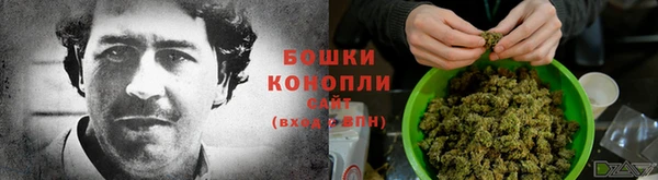 гидра Вяземский