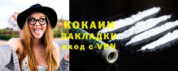 гидра Вяземский