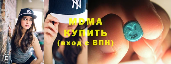 гидра Вяземский