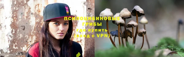 apvp Саяногорск