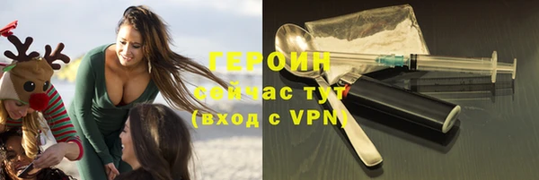 гидра Вяземский