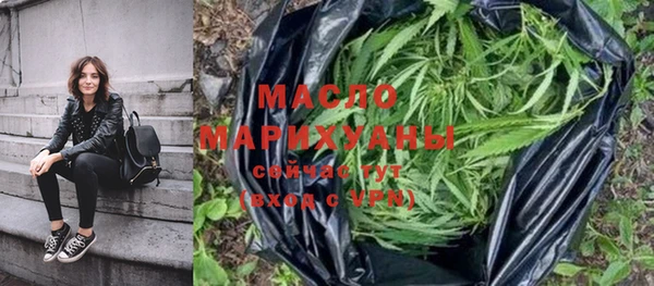 гидра Вяземский