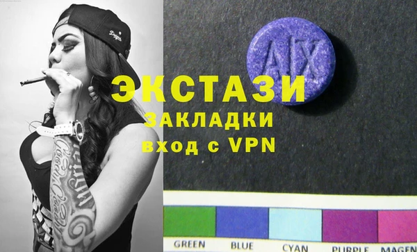 гидра Вяземский