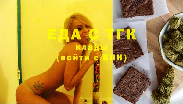 гидра Вяземский