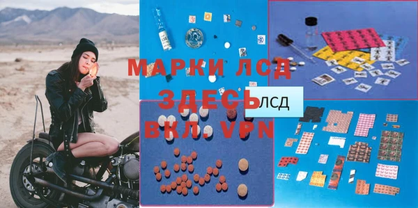 гидра Вяземский