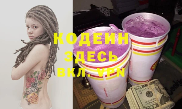 гидра Вяземский