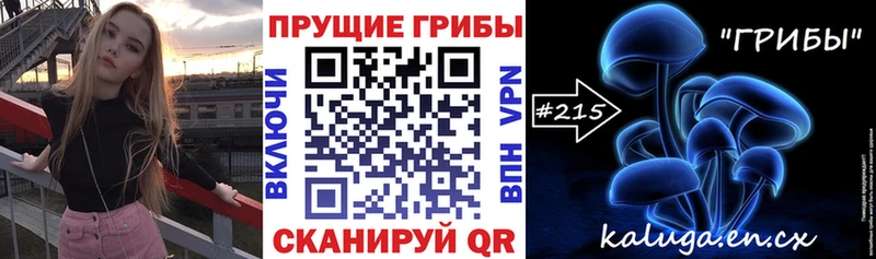Псилоцибиновые грибы мицелий  Киров 