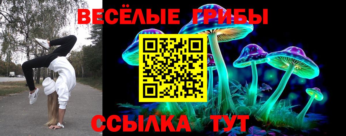 Псилоцибиновые грибы Psilocybe  Киров 