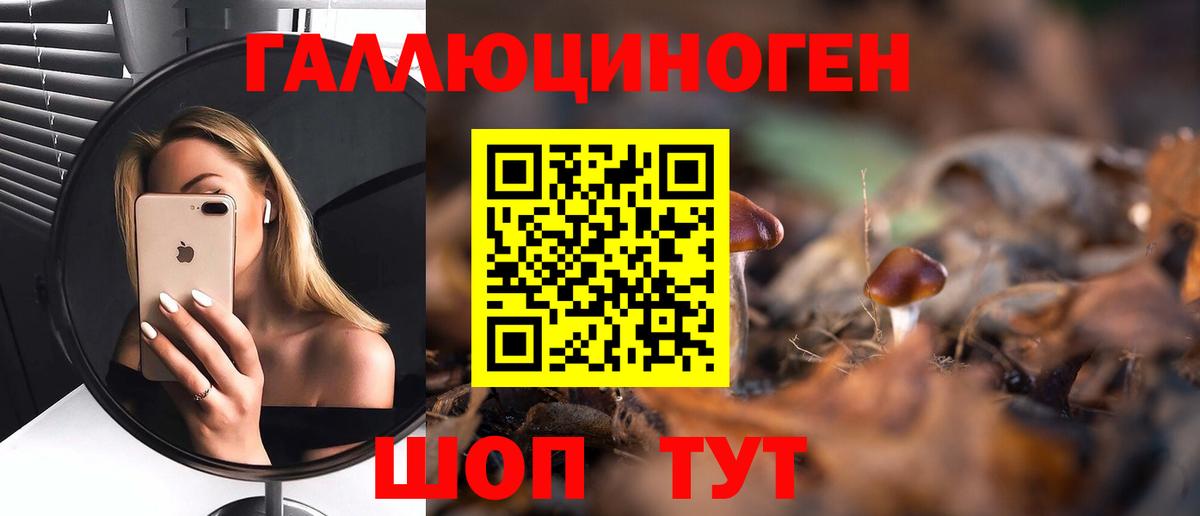 Псилоцибиновые грибы GOLDEN TEACHER  Вход с VPN  Киров  Псилоцибиновые грибы MAGIC MUSHROOMS 