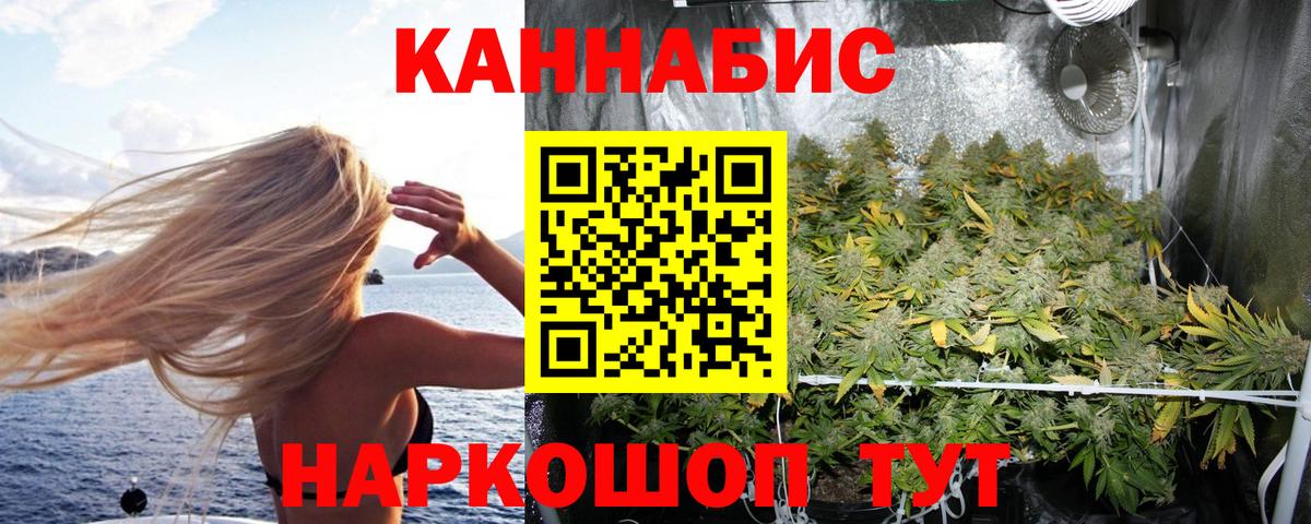 Шишки марихуана OG Kush  МАРИХУАНА семена  Киров  Бошки Шишки AK-47 